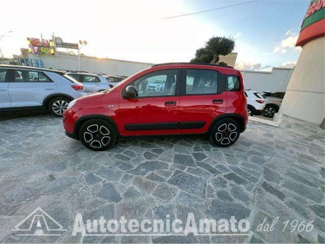 FIAT Panda 3° serie 1.0 FireFly S&S Hybrid City Life