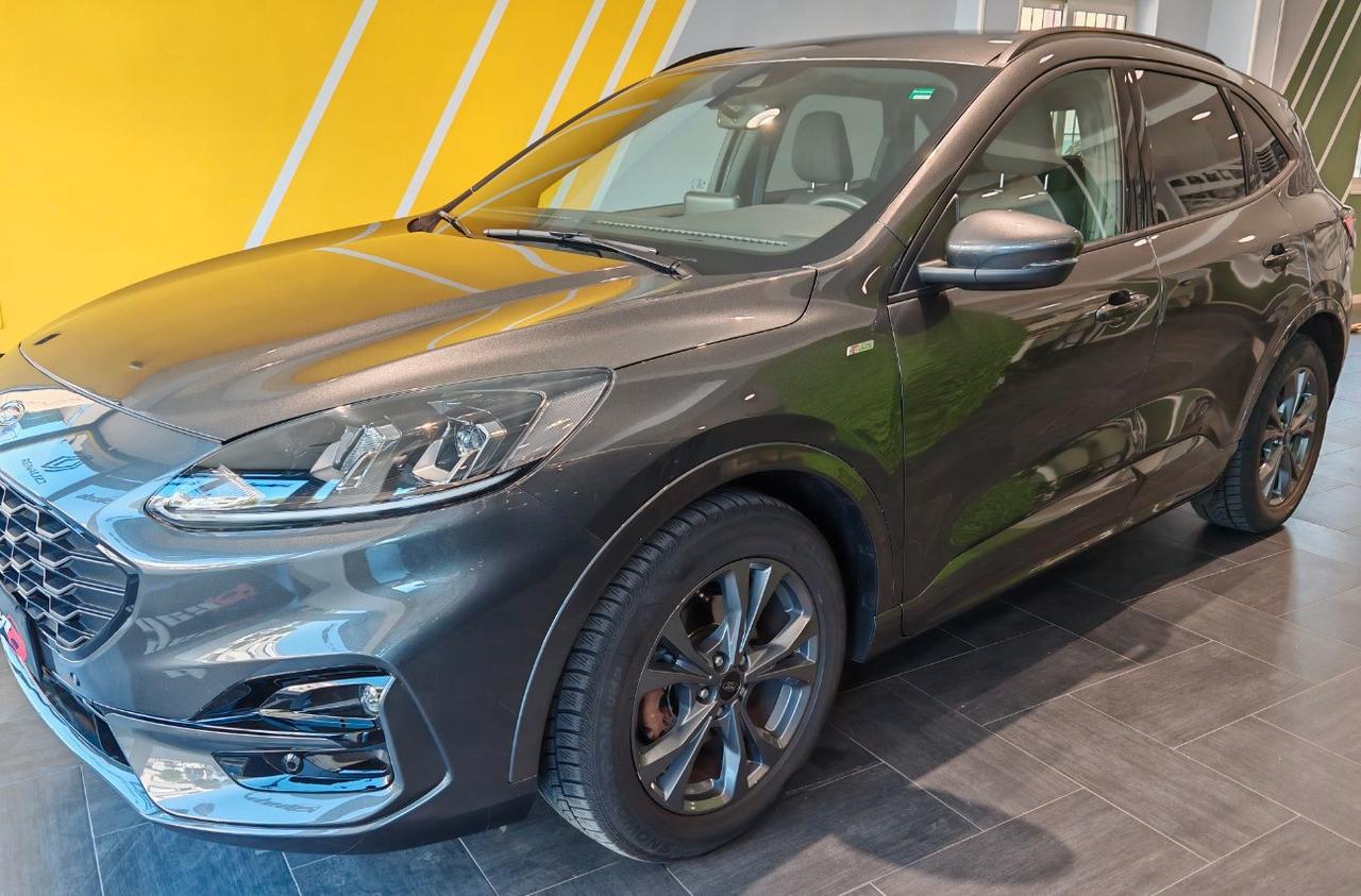 Ford Kuga 1.5 ecoblue ST-LINE 2wd 120cv auto
