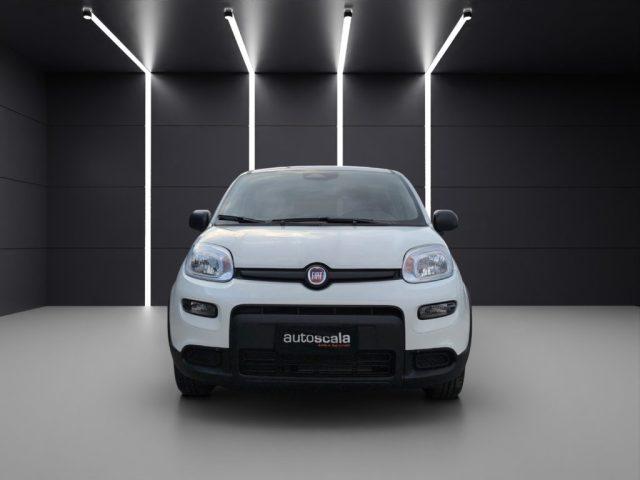 FIAT Panda 1.0 FireFly S&S Hybrid Pandina