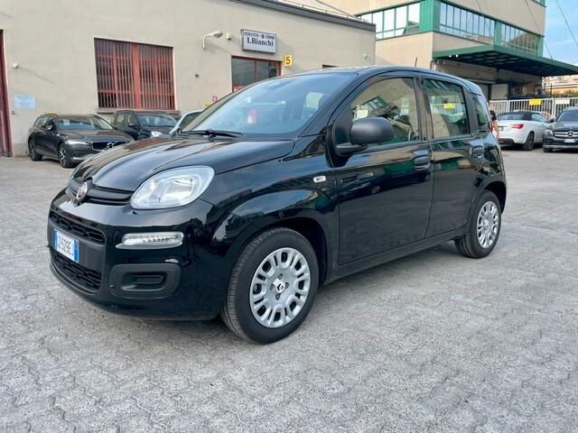 Fiat Panda 1.0 FireFly S&S Hybrid Pandina Tech Km 13.000 PREZZO VERO!!!!