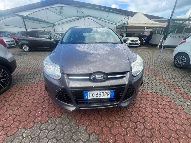 FORD Focus Focus 5p 1.6 tdci Titanium 115cv