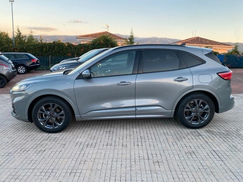 Ford Kuga 1.5 EcoBlue 120 CV 2WD ST-Line