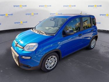 FIAT Panda Serie 7 1.0 70cv HybridPanda