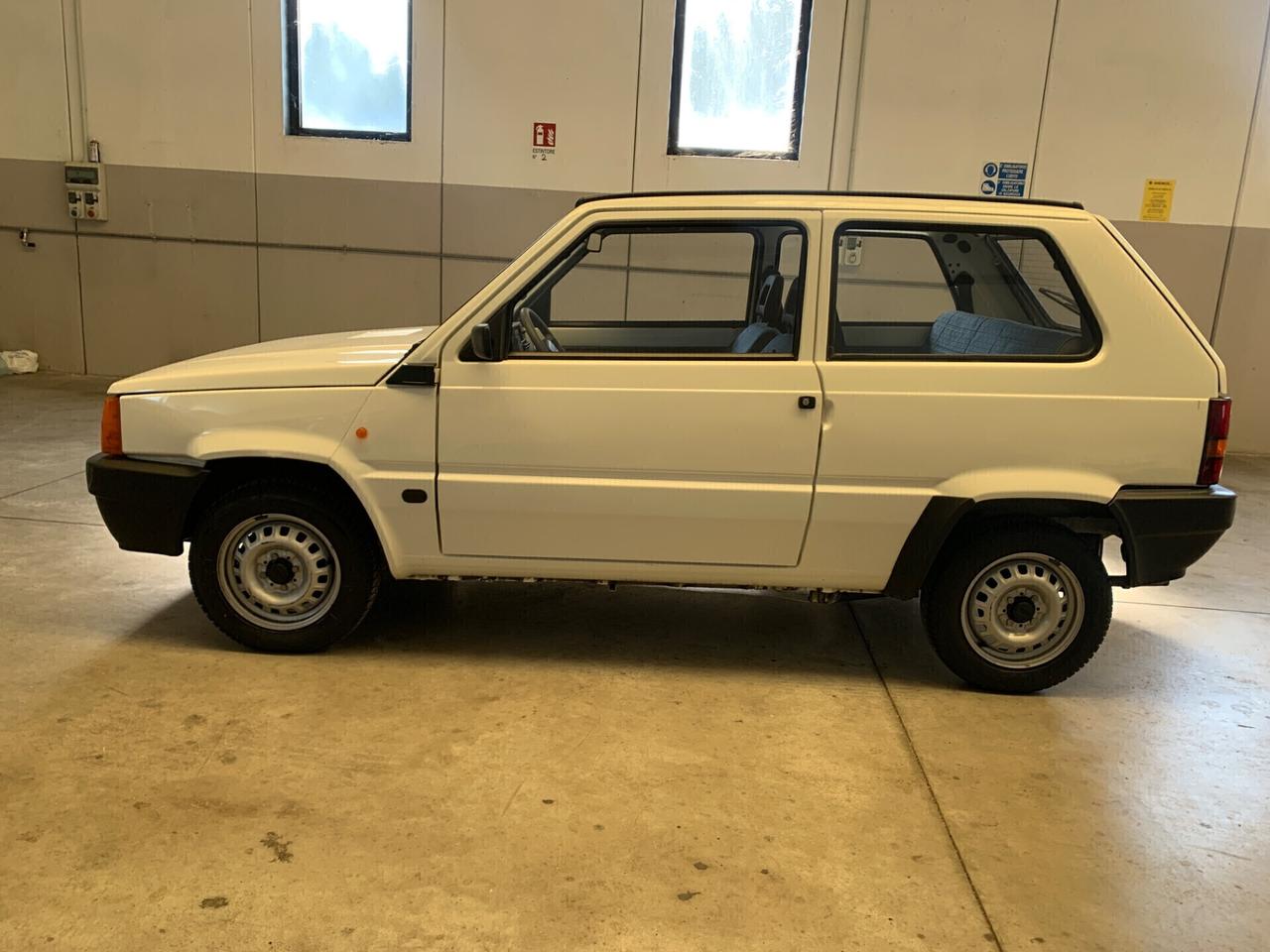 Fiat Panda 900 i.e. cat Young