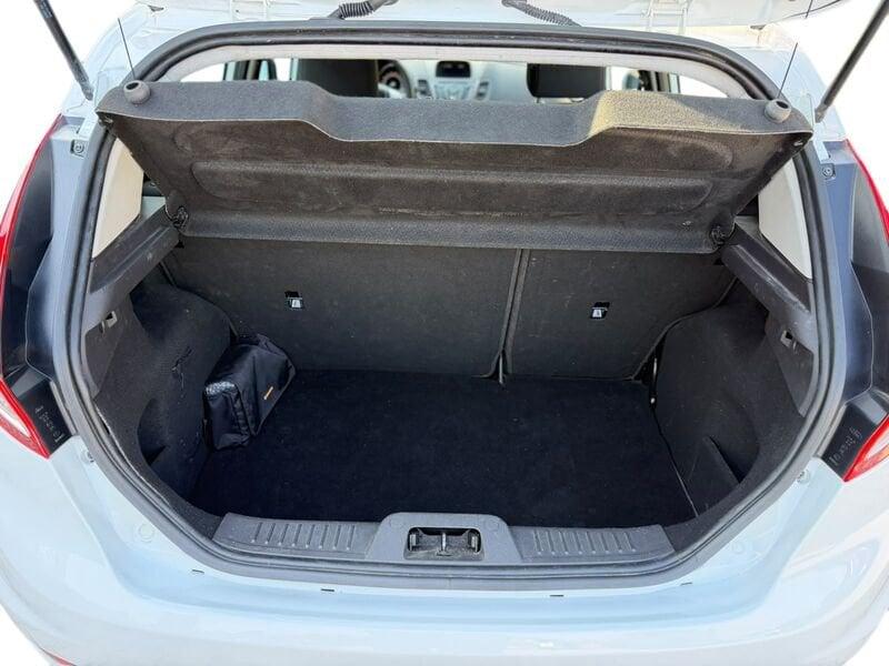 Ford Fiesta Fiesta 5p 1.4 Black&White GPL 95cv