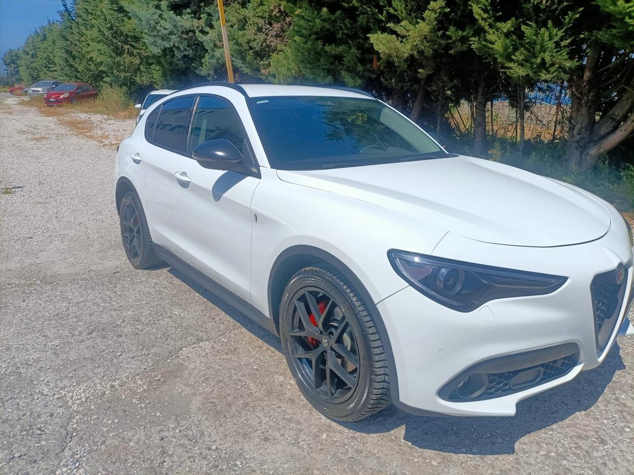 Alfa Romeo Stelvio 2.2 Turbodiesel 180 CV AT8 RWD Business