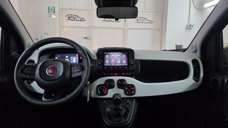 FIAT Panda Cross Panda Cross 1.0 FireFly S&S Hybrid PANDINO TUA DA 169.00 EURO AL MESE