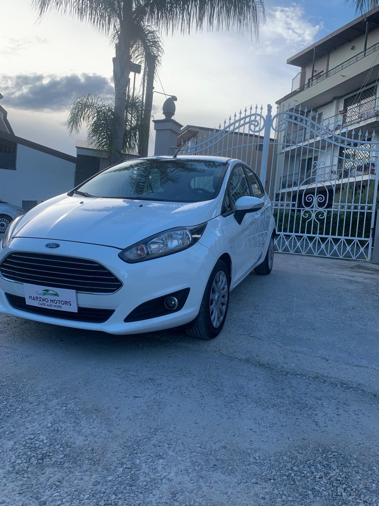 Ford Fiesta 1.4 5 porte Bz.- GPL Business