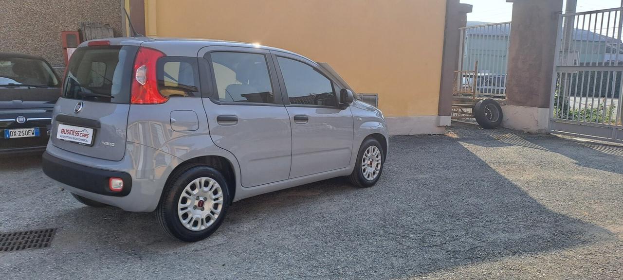 Fiat Panda 1.0 FireFly S&S Hybrid 70 CV AUTO PER NEOPATENTATI! KM. 22.000