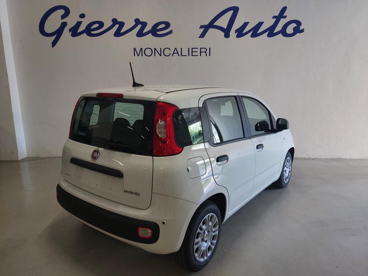 FIAT Panda 3ª serie Panda 1.0 FireFly S&S Hybrid