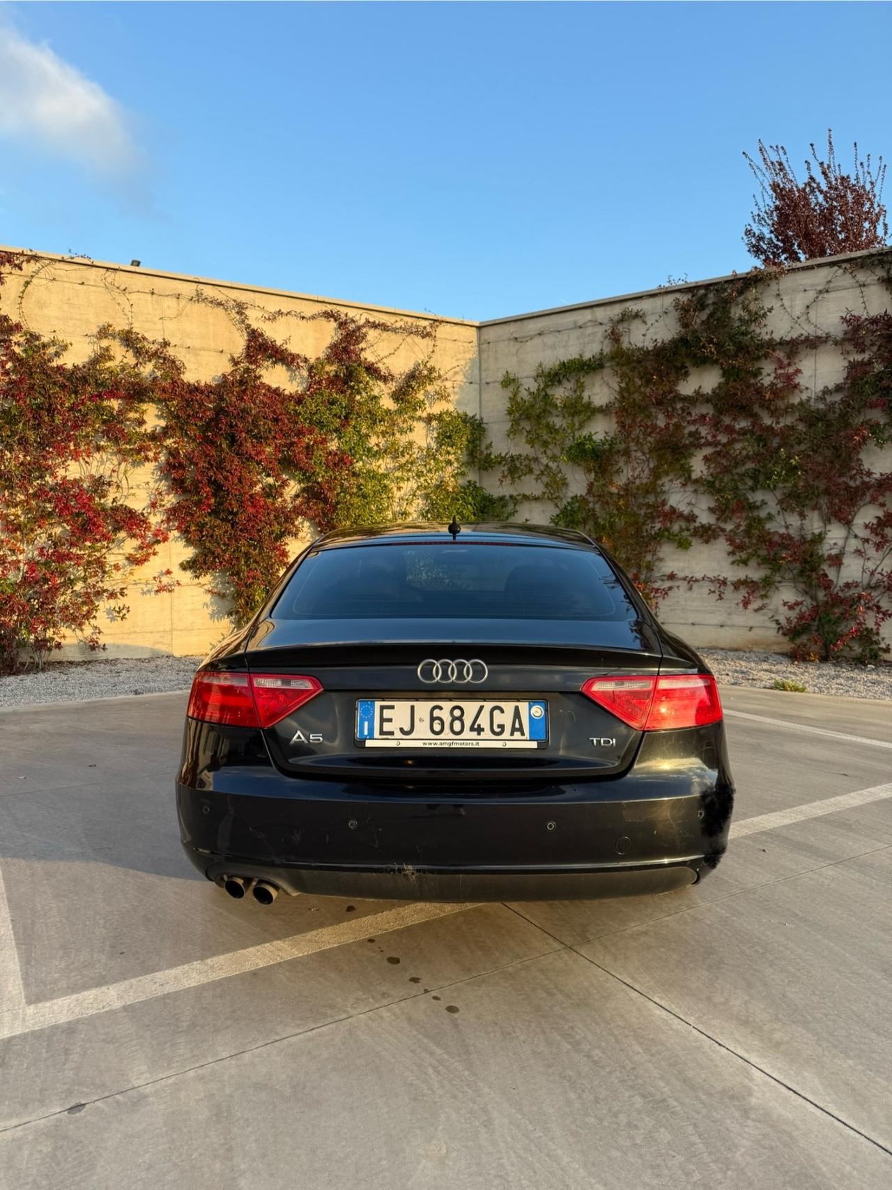 Audi A5 SPB 2.0 TDI F.AP. Advanced