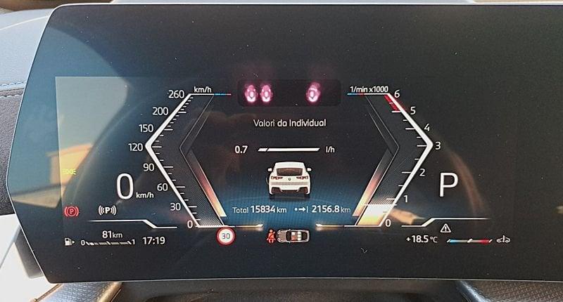 BMW X2 X2 xdrive 20d 48V MSport auto