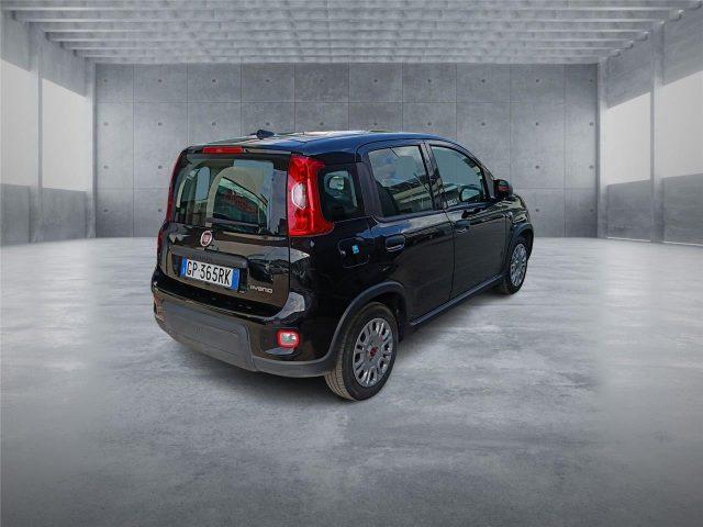 FIAT Panda 3ª serie 1.0 FireFly S&S Hybrid