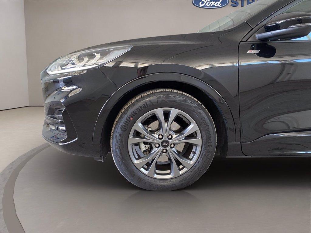 FORD Kuga 2.0 ecoblue ST-Line 2wd 120cv auto del 2024
