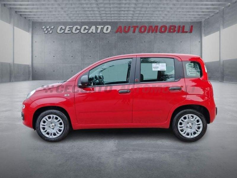 FIAT Pandina Pandina 1.0 65cv Hybrid Pop