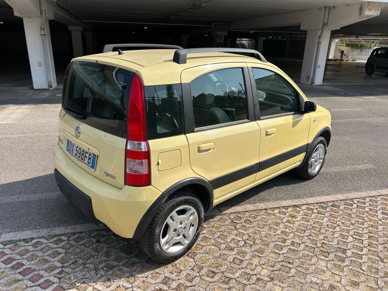 Fiat Panda 1.2 Climbing Natural Power