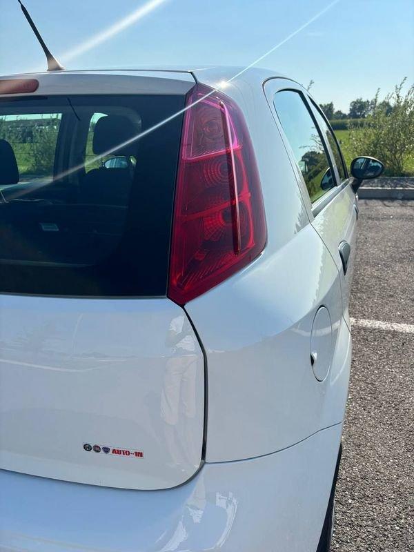 FIAT Punto Punto 1.4 8V 5 porte Easypower Street