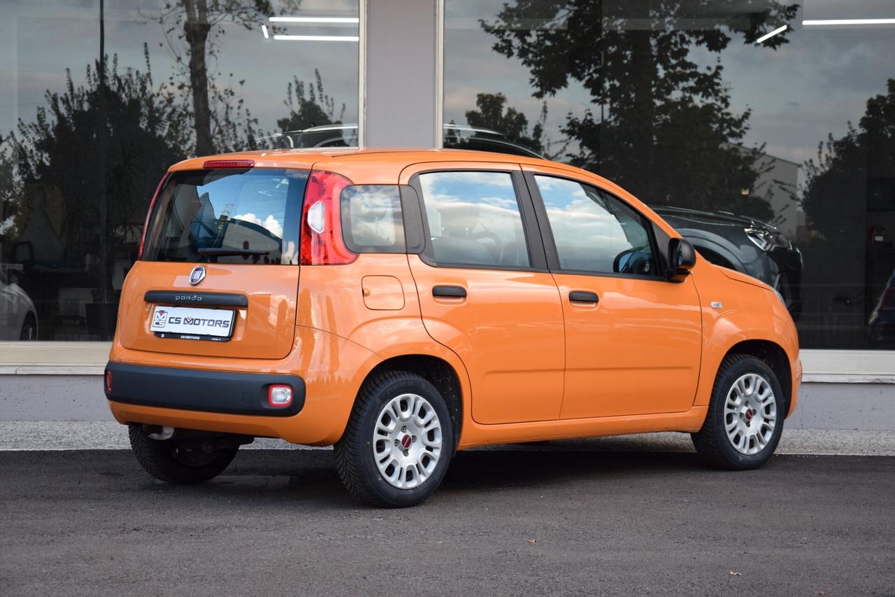 Fiat Panda 1.0 - Hybrid / IN ARRIVO