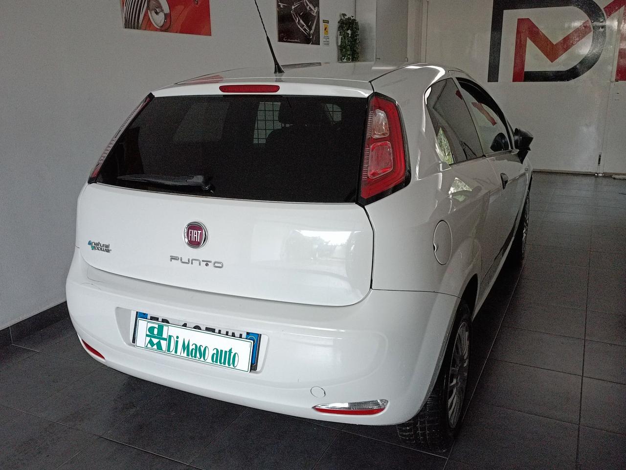 Fiat Punto Evo due posti autocarro