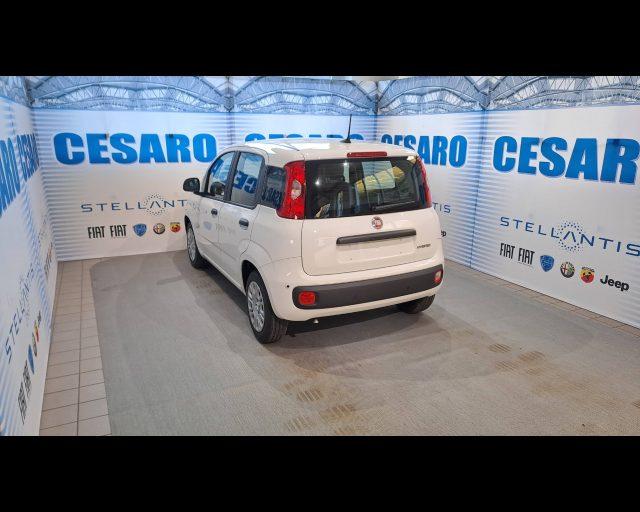 FIAT Panda 1.0 firefly hybrid Icon s&s 70cv
