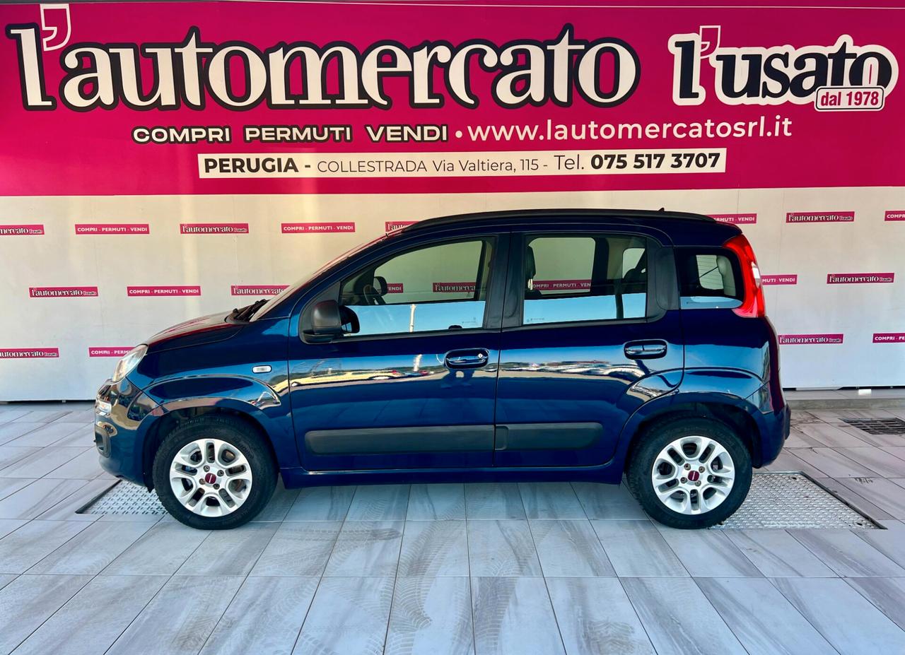 FIAT Panda 3ª serie Panda 1.2 Lounge