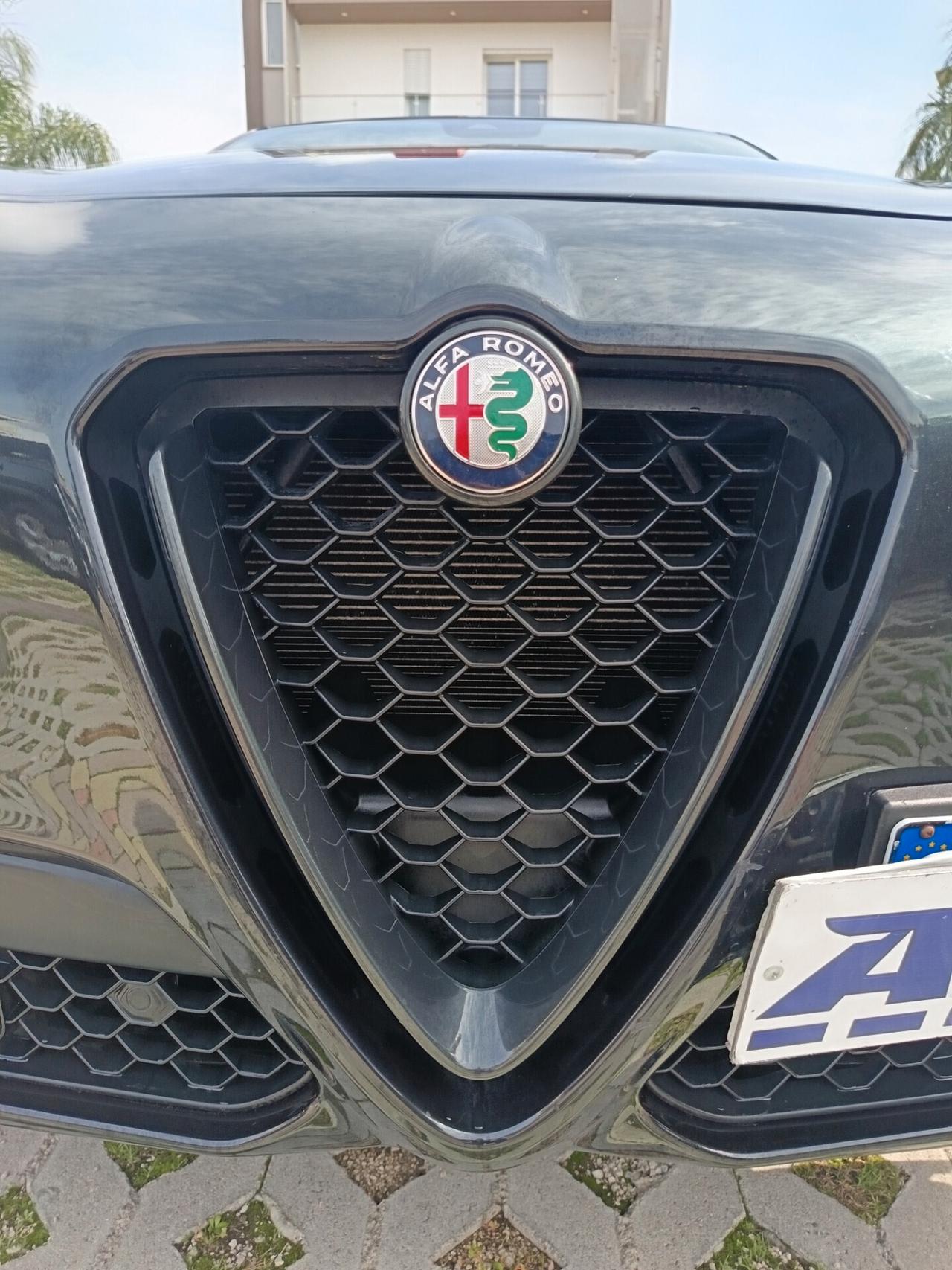 Alfa Romeo Stelvio 2.2 Turbodiesel 210 CV AT8 Q4 Executive palette al volante