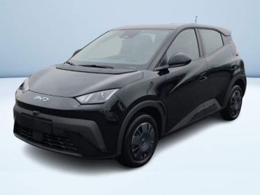 BYD Dolphin Surf Active