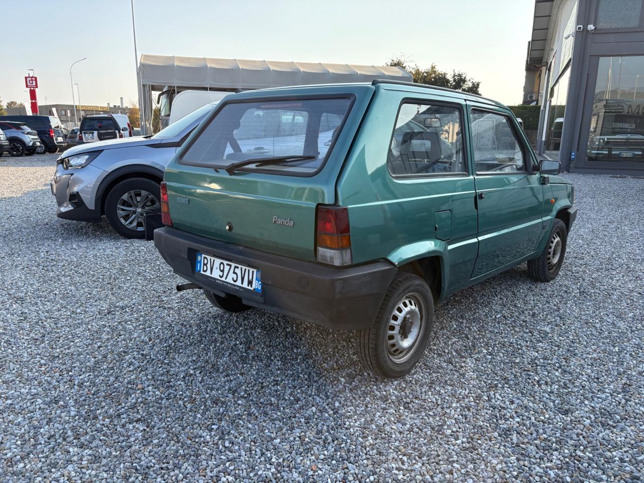 Fiat Panda 1100 i.e. cat Young