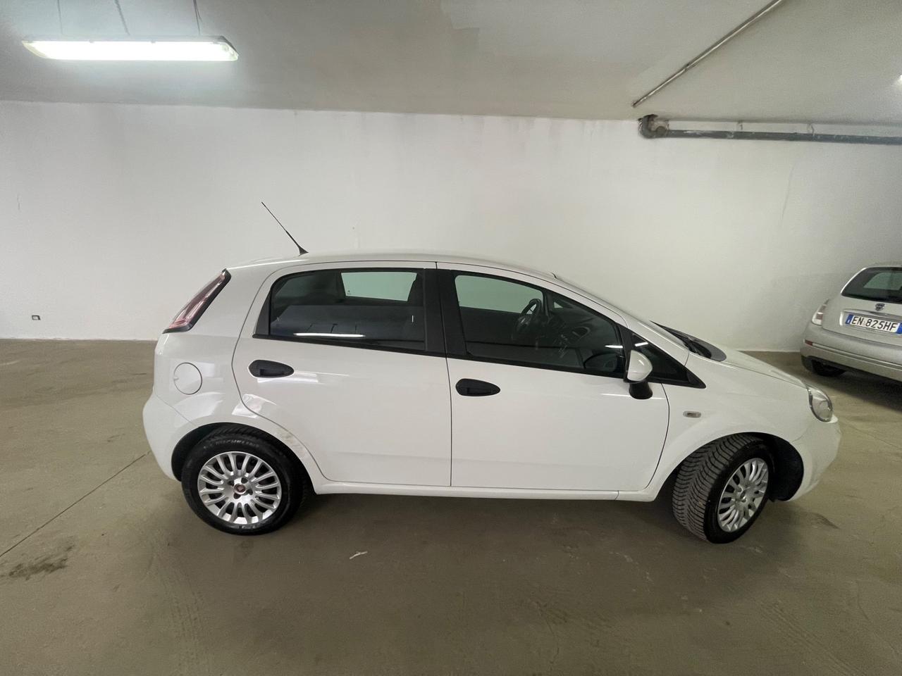 Fiat Punto 1.3 MJT II 75 CV 5 porte Street
