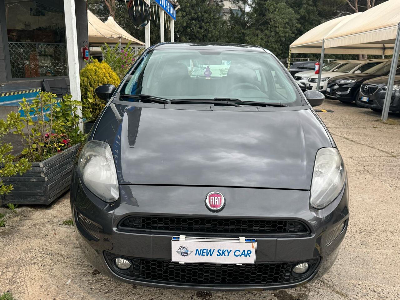 Fiat Punto 1.3 MJT II S&S 85 CV 5p. ECO Lounge