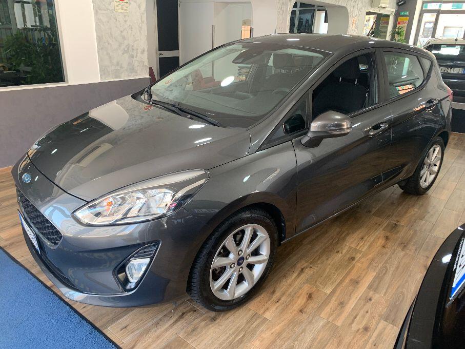 Ford Fiesta 1.2 82 CV 5 porte Business