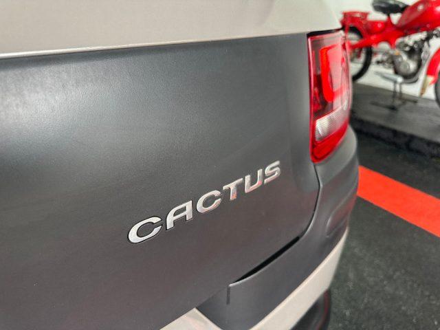 CITROEN C4 Cactus BlueHDi 100 Rip Curl