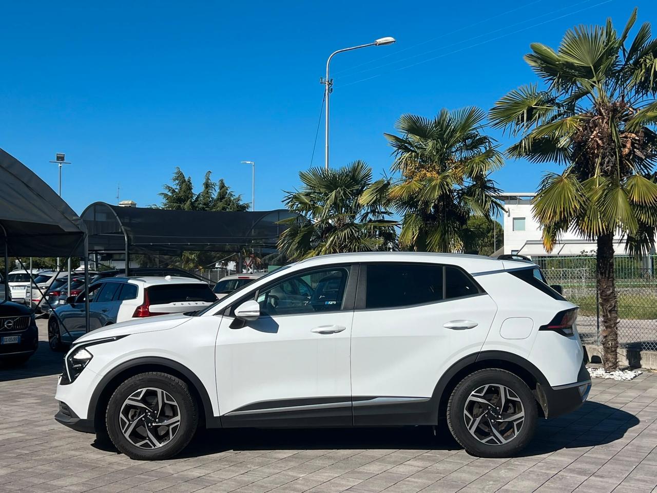 Kia Sportage 1.6 CRDi MHEV DCT Business