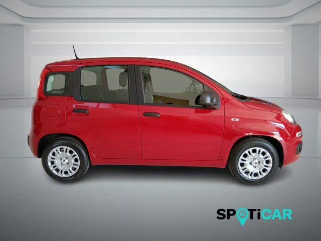 FIAT Panda 1.0 FireFly S&S Hybrid PANDINA ADAS
