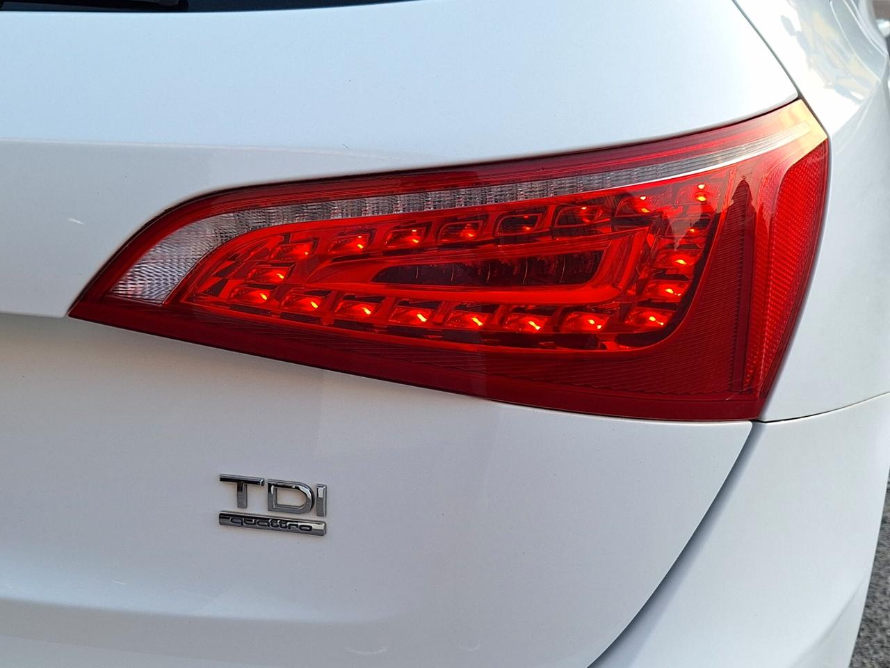 Q5 2.0 TDI 170 CV quattro S tronic Advanced Plus LED CRUIS PELLE NAV