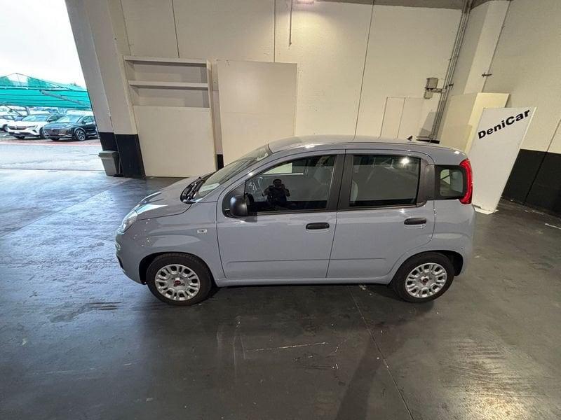 FIAT Panda Panda 1.0 FireFly S&S Hybrid
