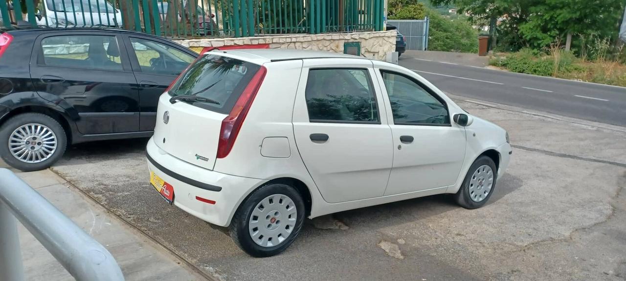 Fiat Punto Classic 1.2 5 porte Natural Power Active