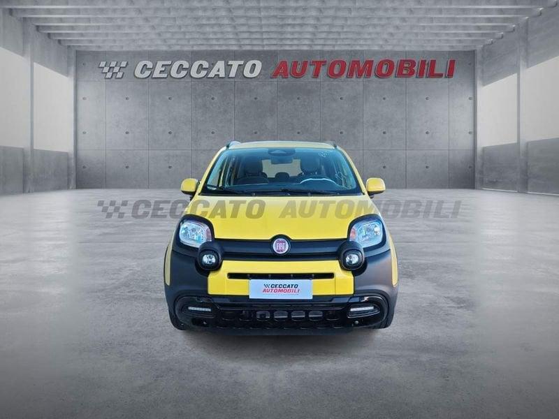 FIAT Panda Pandina 1.0 70 cv Hybrid