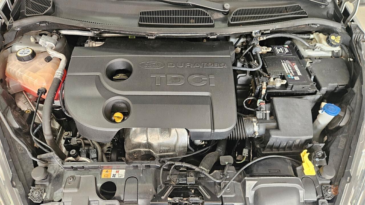 Ford Fiesta 1.5 TDCi 75CV 5 porte