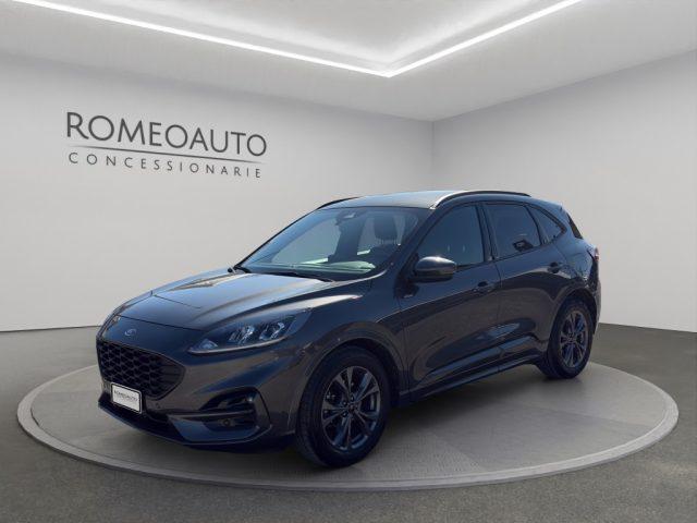 FORD Kuga 2.0 EcoBlue 120 CV aut. 2WD ST-Line
