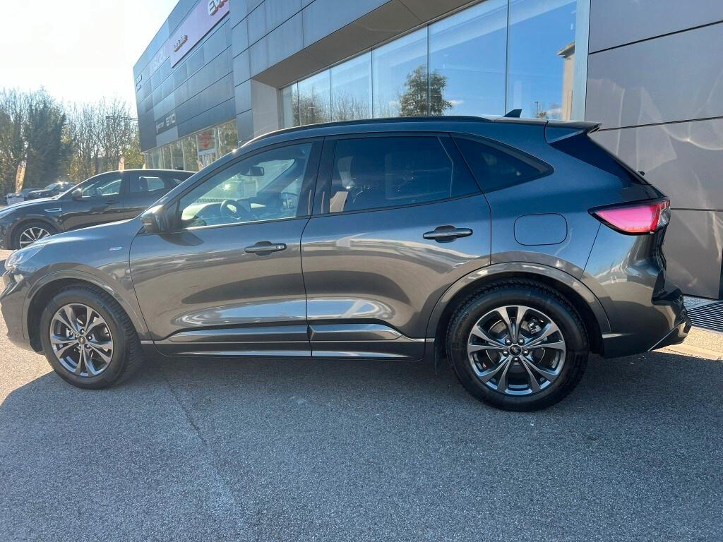 FORD Kuga 3ª serie Kuga 1.5 EcoBlue 120 CV 2WD...