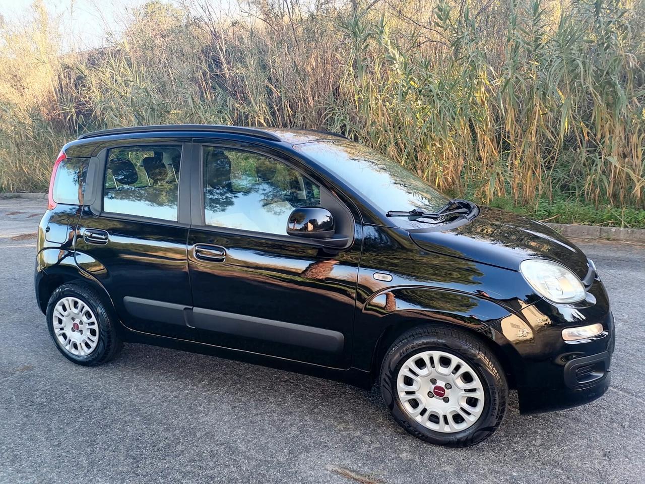 Fiat Panda 1.2 Benz/Gpl - 2012