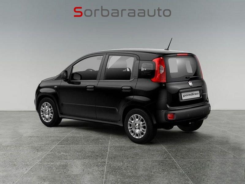 FIAT Pandina Pandina 1.0 firefly hybrid Icon s&s 65cv 5p.ti.