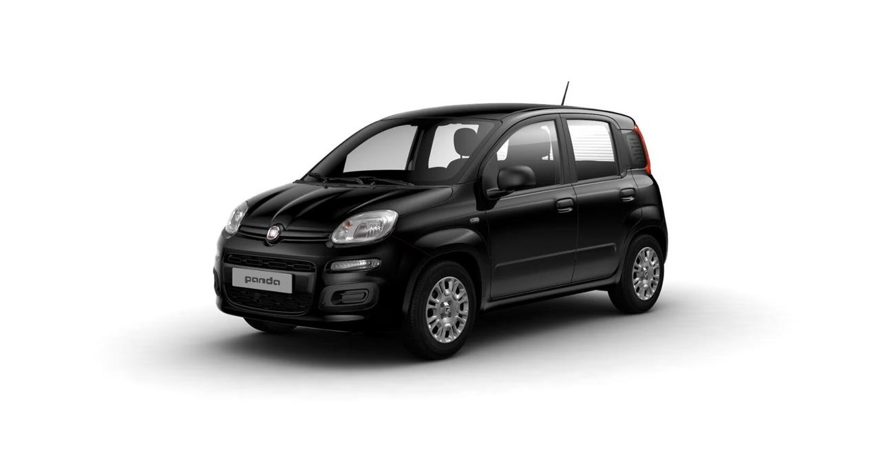 FIAT Pandina Pandina 1.0 FireFly 65 CV Hybrid Icon