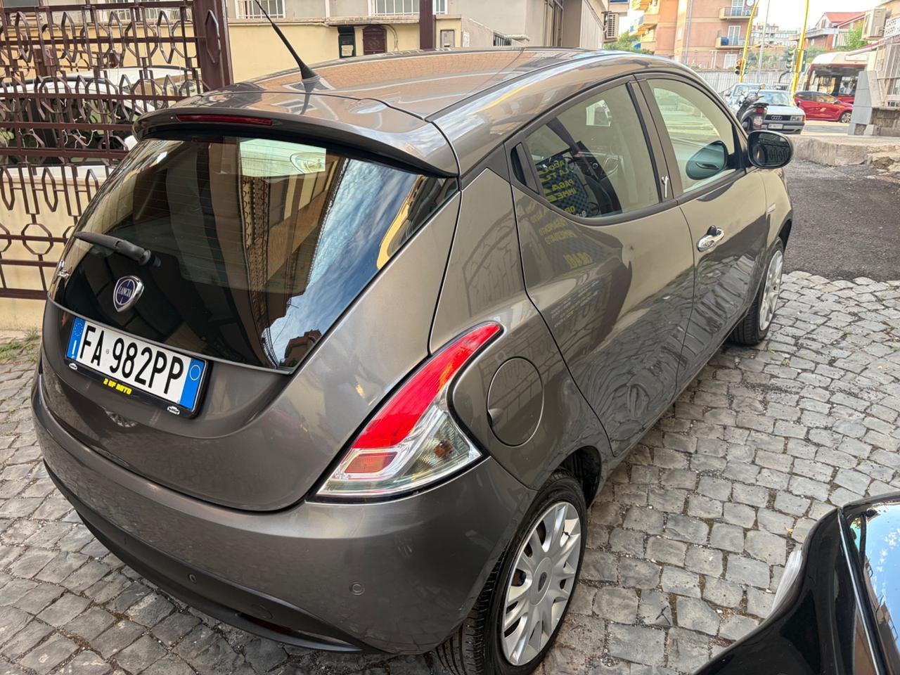 Lancia Ypsilon 1.3 MJT 16V 95 CV 5 porte S&S Elle