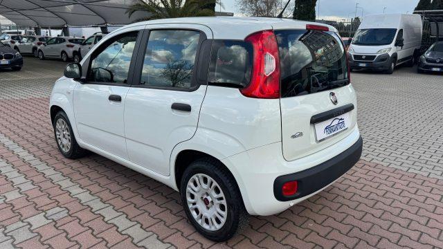 FIAT New Panda 1.2 S.&S. E6D-TEMP EASY 5 POSTI GUIDABILE NEOPA