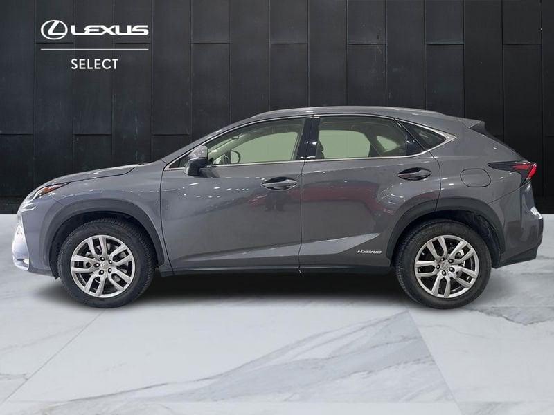 Lexus NX NX 300h 2.5 Executive 4wd cvt