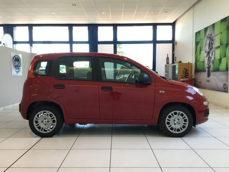 FIAT Panda Panda 1.0 FireFly S&S Hybrid Icon PROMO MESE + TARGA