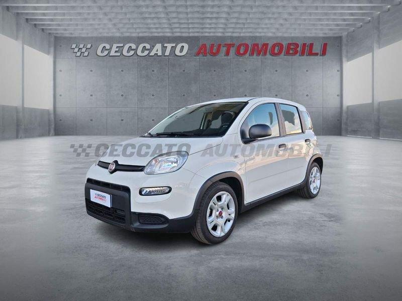 FIAT Panda Panda 1.0 firefly hybrid s&s 70cv