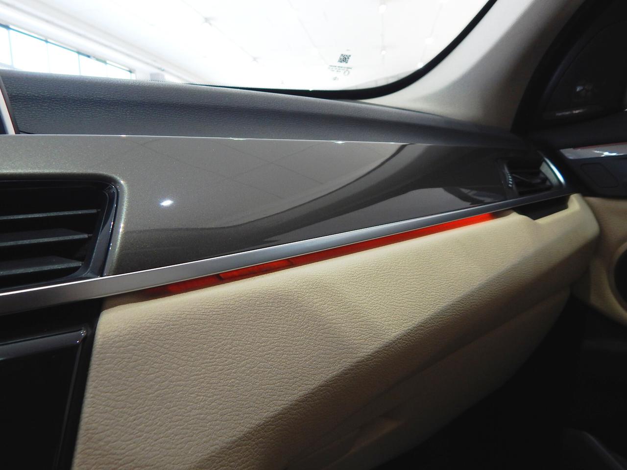 BMW X1 xdrive20d xLine Aut. TETTO-NAVI-PELLE-PARK-XENON